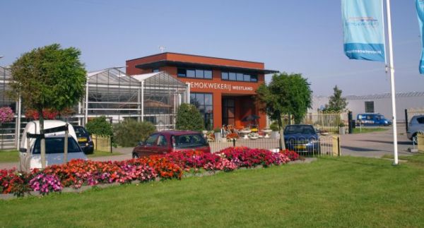 荷兰海牙温室种植创新中心